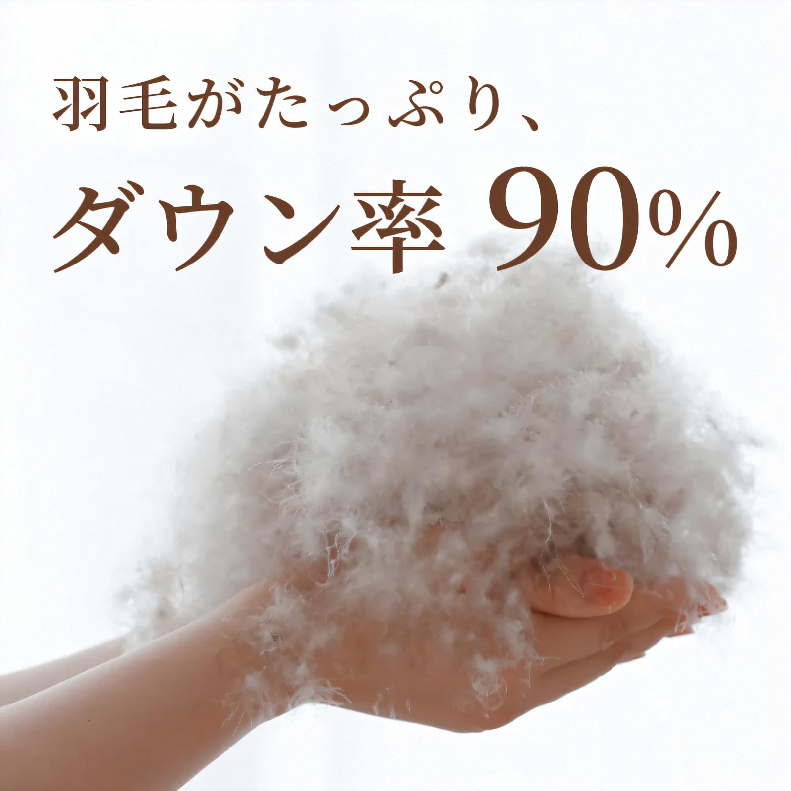Amazon｜ロマンス小杉 羽毛 まくら（70×50㎝）詰めもの重量/0.4